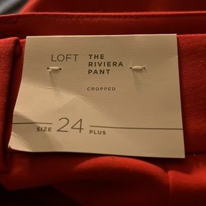 Loft Plus Riveria Pant in Pink